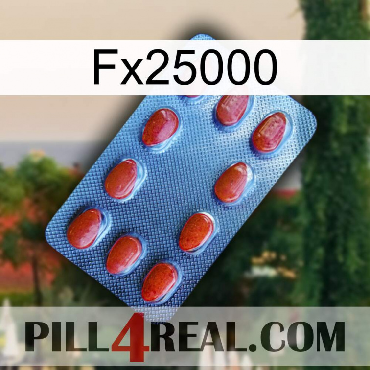Fx25000 06